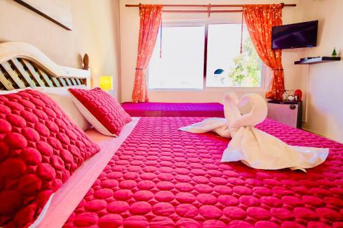 Hostal Executive Budget Room With Swimming Pool Air Conditioning And Parking