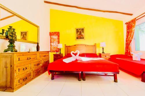 Hostal Executive Budget Room With Swimming Pool Air Conditioning And Parking