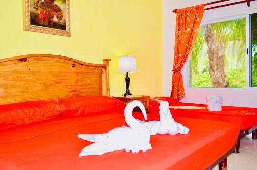 Hostal Executive Budget Room With Swimming Pool Air Conditioning And Parking