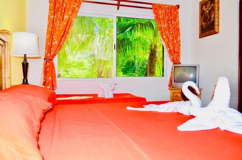Hostal Executive Budget Room With Swimming Pool Air Conditioning And Parking