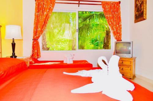 Hostal Executive Budget Room With Swimming Pool Air Conditioning And Parking