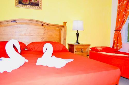Hostal Executive Budget Room With Swimming Pool Air Conditioning And Parking