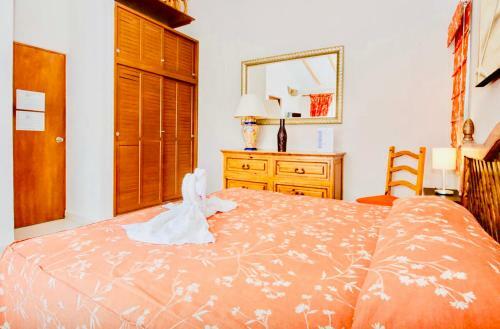 Hostal Executive Budget Room With Swimming Pool Air Conditioning And Parking