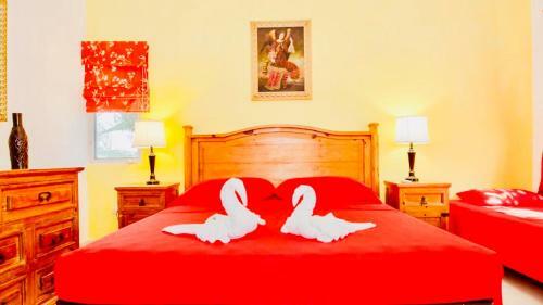 Hostal Executive Budget Room With Swimming Pool Air Conditioning And Parking
