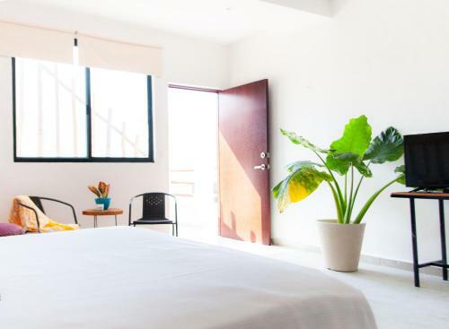 Apartamento Playa Private Condo With Pool, Min From Beach