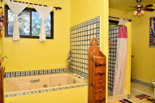 Unique Mexican Villa! Plunge Pool, Ocean Views