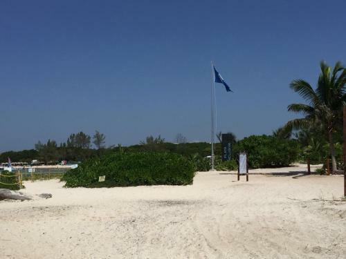 Hostal Rooms Playa Del Carmen 400mts Playa