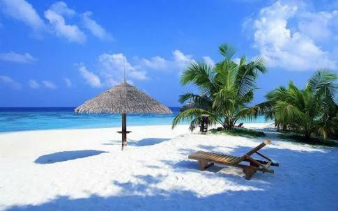 Hostal Rooms Playa Del Carmen 400mts Playa