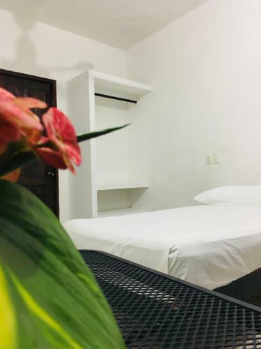 Hotel Casa Tacuba