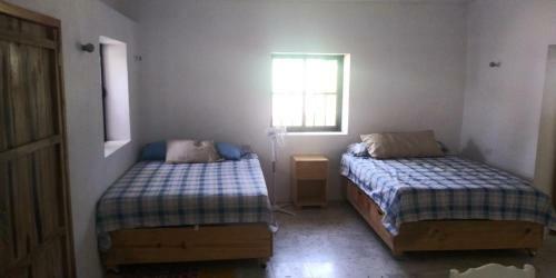 1 And 2 Separate Bedrooms For Rent