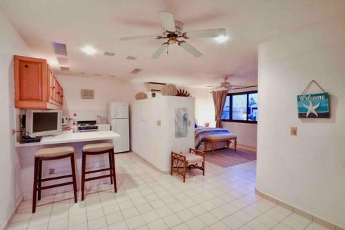 Luxury Villa In Pedregal -incredible Views- Walk To Town!
