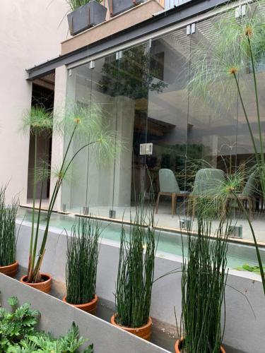 Casa Quebrada Hotel Boutique