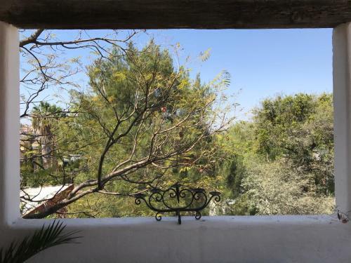 Casa �rbol Hotel