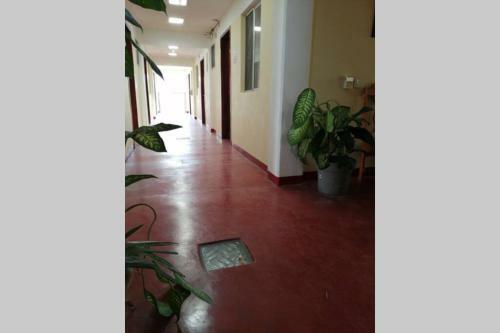 Apartamento Estudio Con Alberca Costa