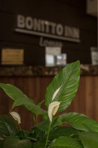 Hotel Bonitto Inn� Tampico Lomas