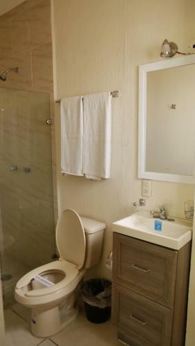 Hotel Insurgentes Express