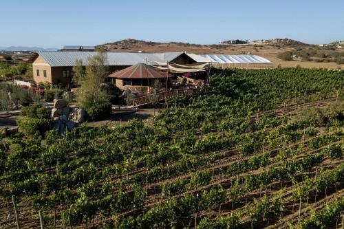 Don Tomas Vi�edo Caba�as