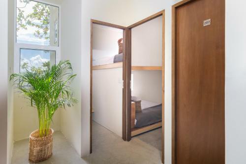 Oostel Smart Hostel - Tulum Pueblo