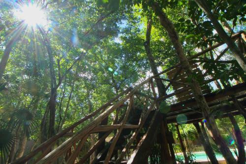 Apartamento Aldea Xaan Ha Tulum