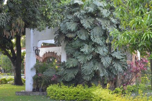 Hotel Club Primavera
