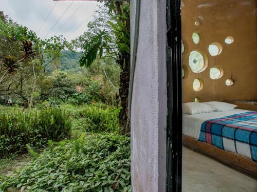 Casa Caracol Xilitla