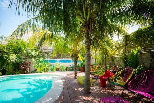 Hotel Tropical Suites By Mij