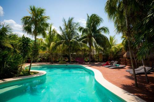 Hotel Tropical Suites By Mij