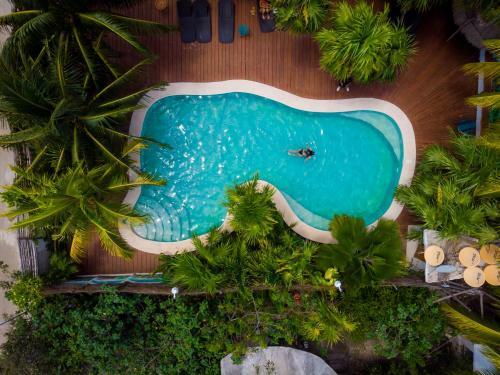 Hotel Tropical Suites By Mij