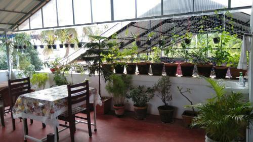 Bed & Breakfast Gloria Homestay
