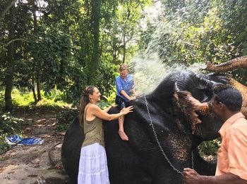Bed & Breakfast Reds Residency - Homestay