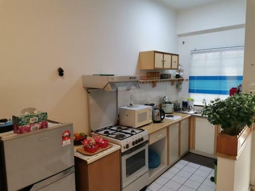 Cozy Seafront Paradise Lagoon Apartment