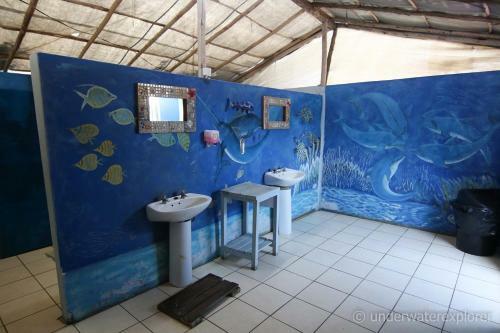 Lodge Underwater Explorer