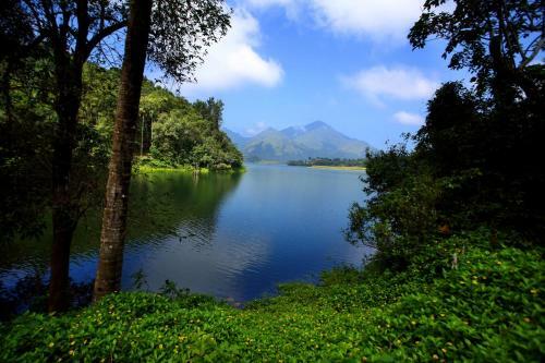 Hotel Petals Resorts Wayanad