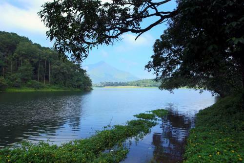 Hotel Petals Resorts Wayanad