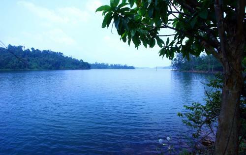 Hotel Petals Resorts Wayanad