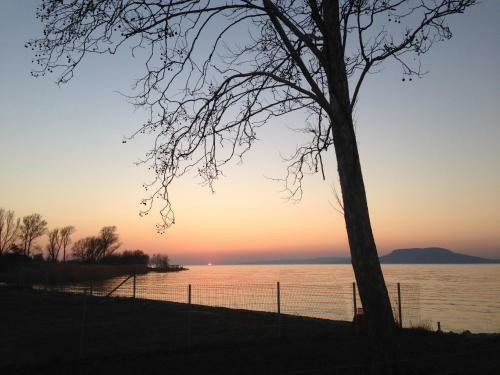 Balaton View Apartment