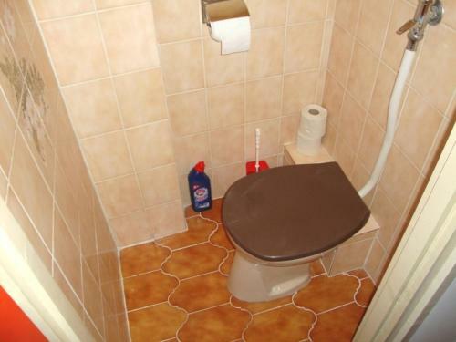 Apartamento Tulip�n Vend�gh�z
