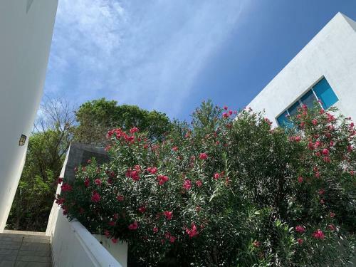 Hotel Surf Ranch Resort - Emerald Coast