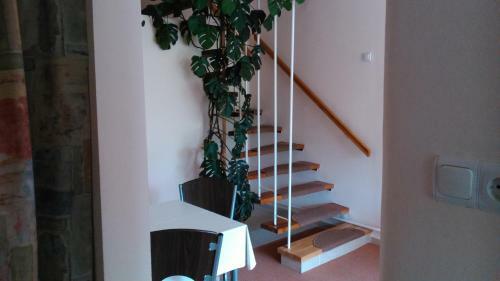 Apartamento Margitapartman