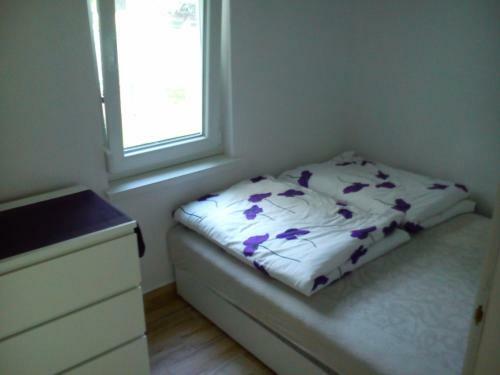 Judit Apartman