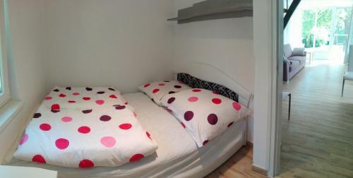 Judit Apartman