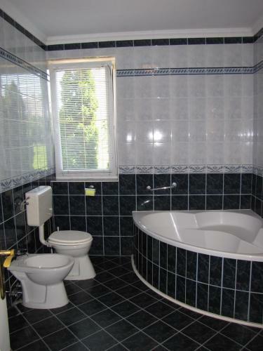 Hostal Dorina Vend�gh�z