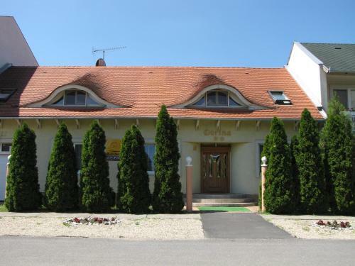 Hostal Dorina Vend�gh�z