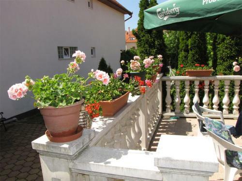 Hostal Dorina Vend�gh�z
