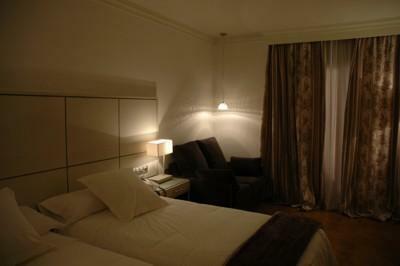 Hotel La Vi�uela