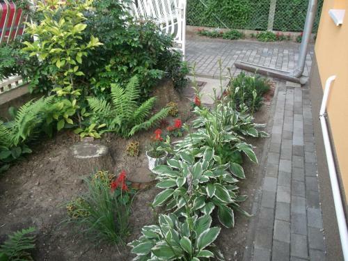 Apartamento Tulip�n Vend�gh�z