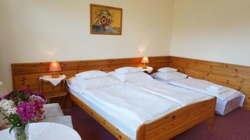 Hajd� Kast�ly Hotel