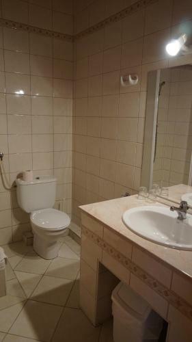 Hajd� Kast�ly Hotel