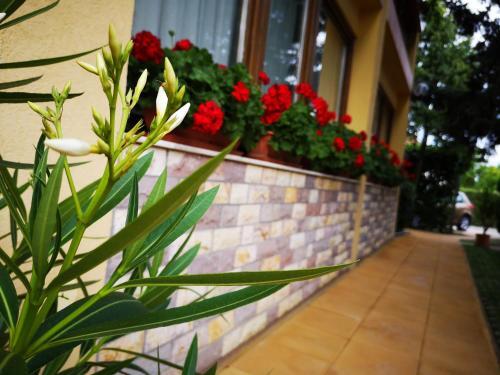 Bed & Breakfast J�lia Panzi�