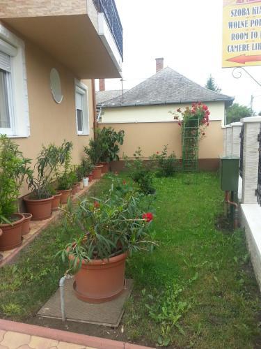 Marinica Apartman